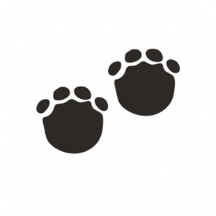 Footprints