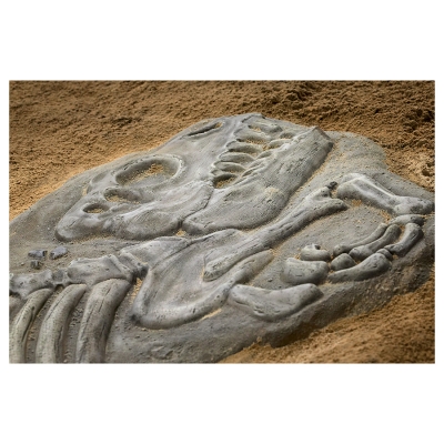ZZXX059