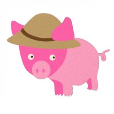 Pig